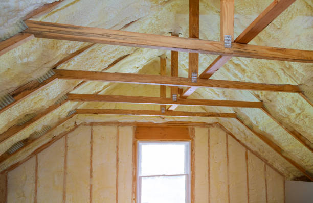 Best Professional Insulation Contractor  in Shoemakersville, PA