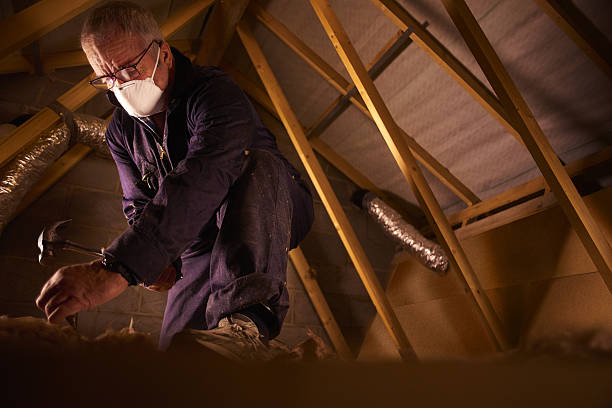 Best Energy-efficient Insulation  in Shoemakersville, PA