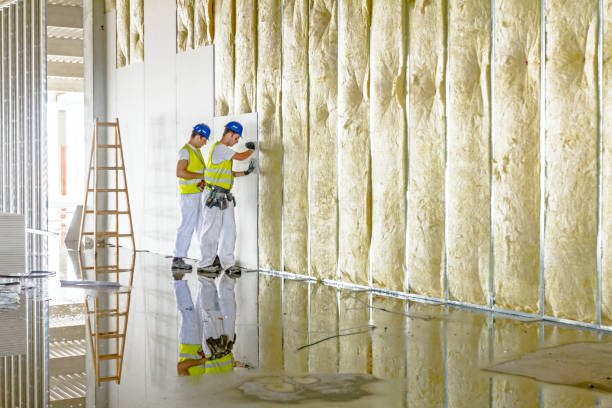Best Commercial Insulation Contractor  in Shoemakersville, PA